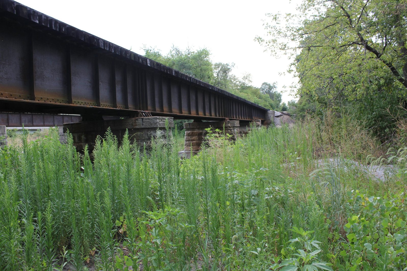 Looking west